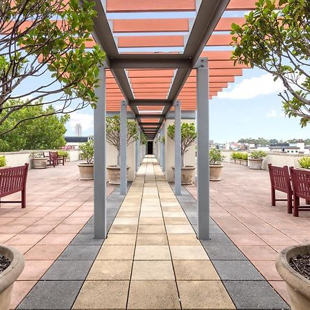 Nesuto Chippendale Aparthotel Sydney Bagian luar foto